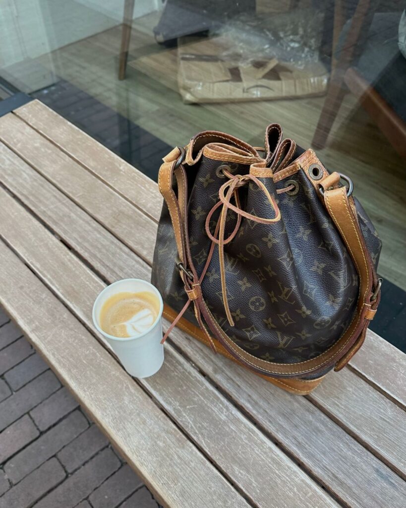 Louis Vuitton Noé bucket bag in monogram canvas, a chic and practical luxury silhouette
